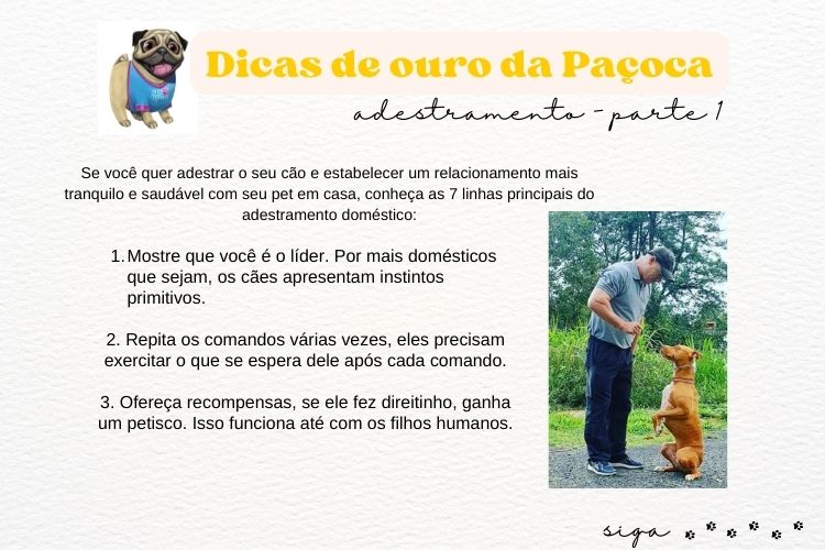 Seu olhar é mais poderoso do que você imagina!